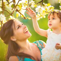 Gentle Dry Cleaning Gentle Dry Cleaning